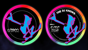 Record inner designs